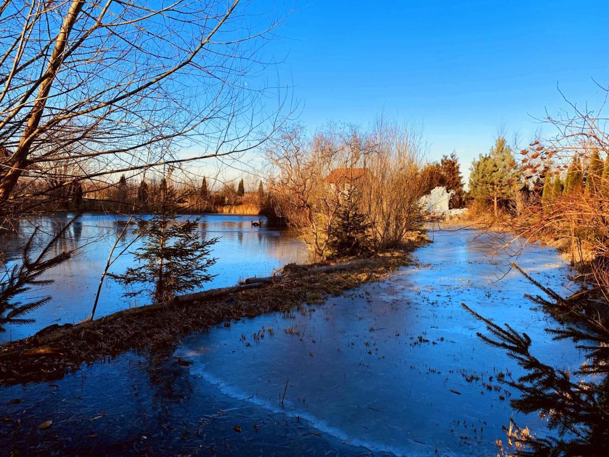 Targowski Dwor Mazury Dzwierzuty Exterior foto